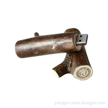 Natural Wooden Limb USB Stick